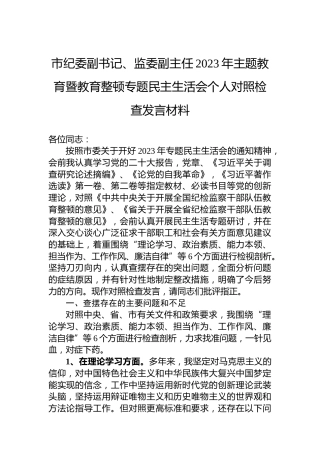 市纪委副书记、监委副主任2023年主题教育暨教育整顿专题民主生活会个人对照检查发言材料