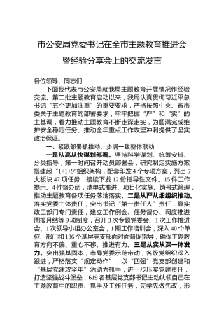 市公安局党委书记在全市主题教育推进会暨经验分享会上的交流发言