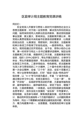 区县审计局主题教育党课讲稿