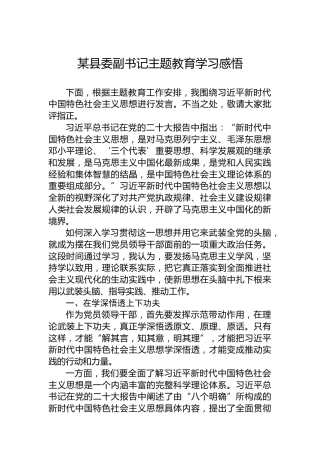某县委副书记主题教育学习感悟