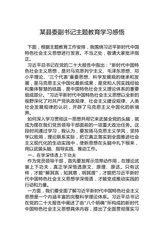 某县委副书记党内主题教育学习感悟（心得体会）