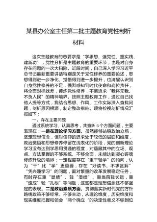 某县办公室主任第二批主题教育党性剖析材料