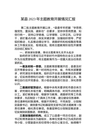 某县2023年主题教育开展情况汇报