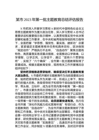 某市2023年第一批主题教育总结评估报告