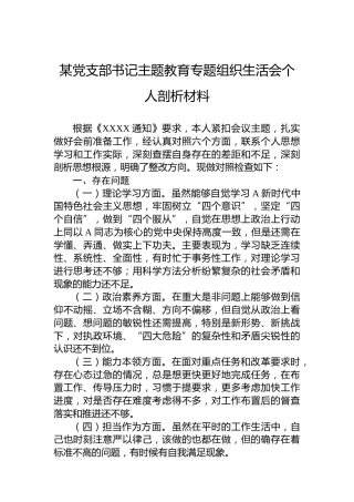 某党支部书记主题教育专题组织生活会个人剖析材料