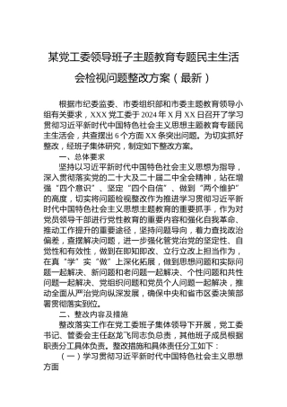 某党工委领导班子主题教育专题民主生活会检视问题整改方案
