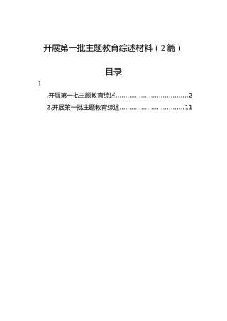 开展第一批主题教育综述材料（2篇）