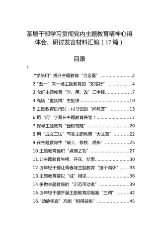 基层干部学习贯彻党内主题教育精神心得体会、研讨发言材料汇编（17篇）