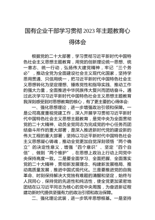 国有企业干部学习贯彻2023年主题教育心得体会