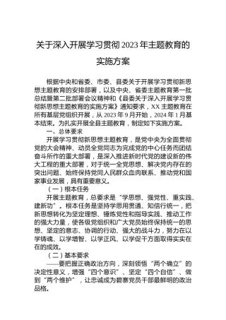关于深入开展学习贯彻2023年主题教育的实施方案