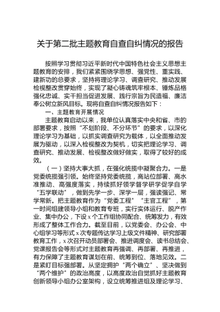 关于第二批主题教育自查自纠情况的报告