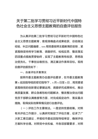 关于第二批学习贯彻习近平新时代中国特色社会主义思想主题教育的自查评估报告