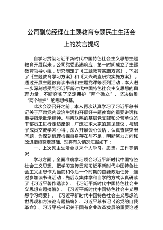公司副总经理在主题教育专题民主生活会上的发言提纲 (2)