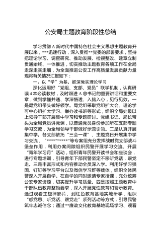 公安局主题教育阶段性总结