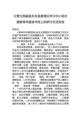 分管文旅副县长在县委理论学习中心组主题教育专题读书班上的研讨交流发言