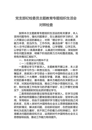 党支部纪检委员主题教育专题组织生活会对照检查