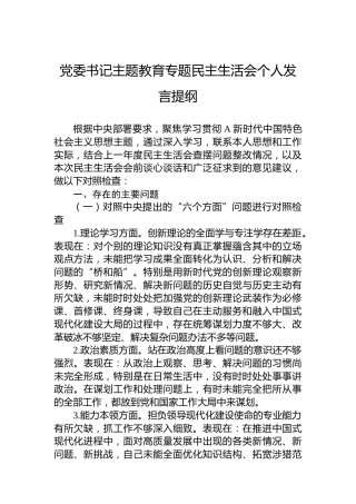 党委书记主题教育专题民主生活会个人发言提纲