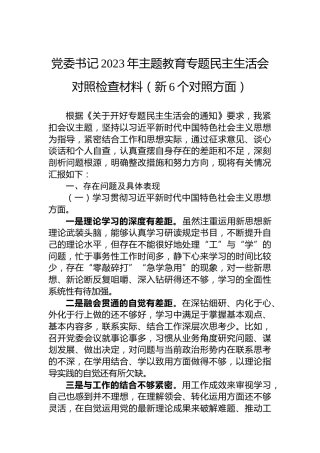 党委书记2023年主题教育专题民主生活会对照检查材料（新6个对照方面） (2)