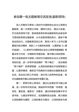 参加第一批主题教育交流发言(副职领导)