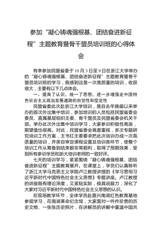 参加“凝心铸魂强根基、团结奋进新征程”主题教育暨骨干盟员培训班的心得体会