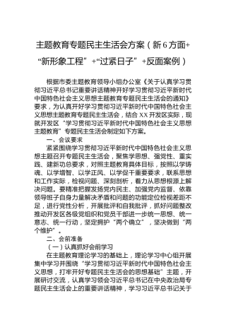 主题教育专题民主生活会方案（新6方面“新形象工程”“过紧日子”反面案例）