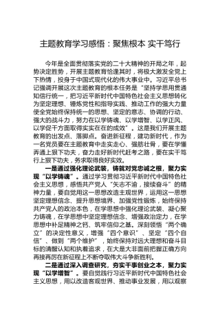 主题教育学习感悟：聚焦根本实干笃行