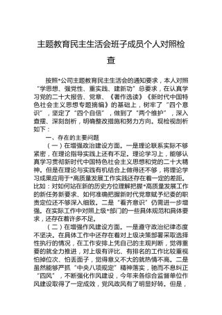 主题教育民主生活会班子成员个人对照检查