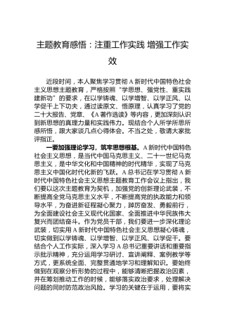 主题教育感悟：注重工作实践增强工作实效