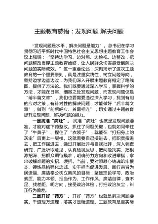 主题教育感悟：发现问题解决问题