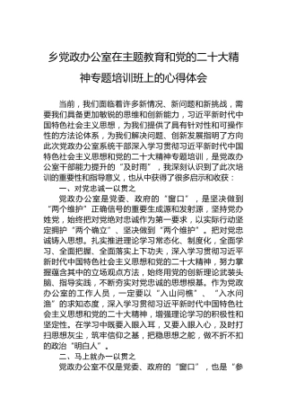 乡党政办公室在主题教育和党的x大精神专题培训班上的心得体会（盛会）