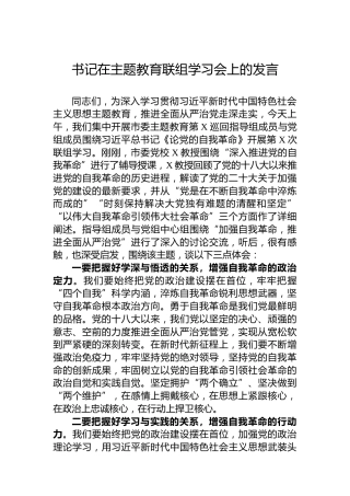 书记在主题教育联组学习会上的发言