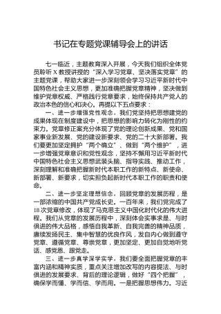 书记在主题教育党课辅导会上的讲话