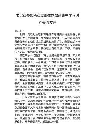 书记在参加所在支部主题教育集中学习时的交流发言