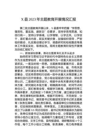 X县2023年主题教育开展情况汇报