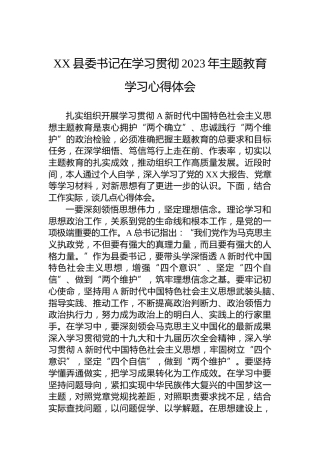XX县委书记在学习贯彻2023年主题教育学习心得体会