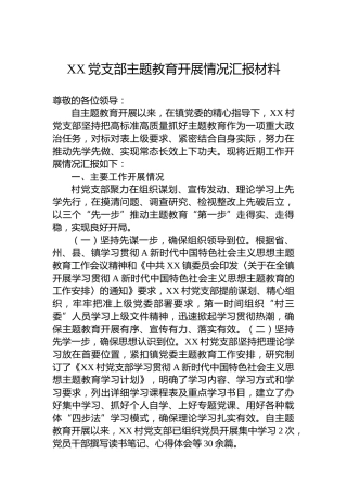 XX党支部主题教育开展情况汇报材料