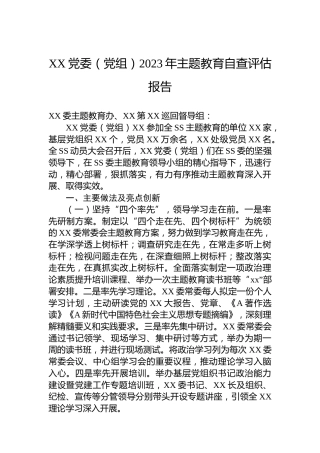 XX党委（党组）2023年主题教育自查评估报告