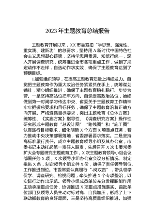 2023年主题教育总结报告