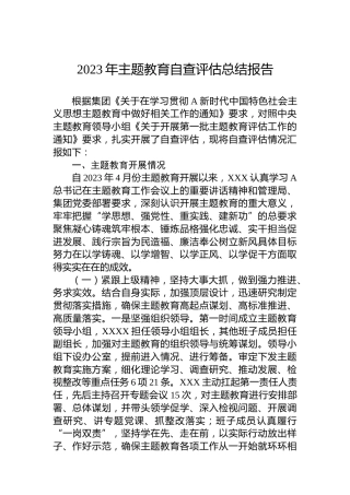 2023年主题教育自查评估总结报告