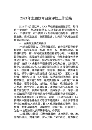 2023年主题教育自查评估工作总结(1)