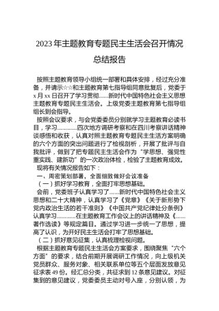 2023年主题教育专题民主生活会召开情况总结报告