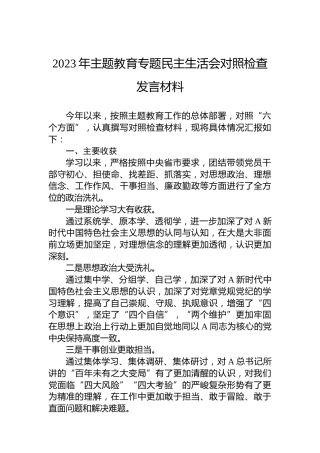 2023年主题教育专题民主生活会对照检查发言材料
