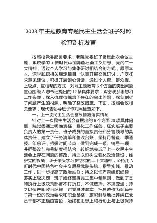 2023年主题教育专题民主生活会班子对照检查剖析发言