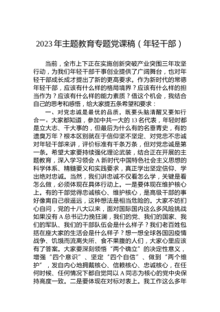 2023年主题教育专题党课稿（年轻干部）