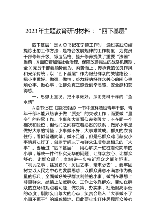 2023年主题教育研讨材料：“四下基层”
