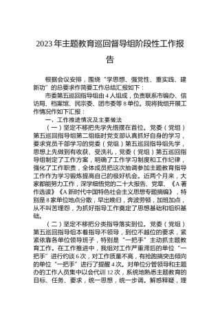 2023年主题教育巡回督导组阶段性工作报告