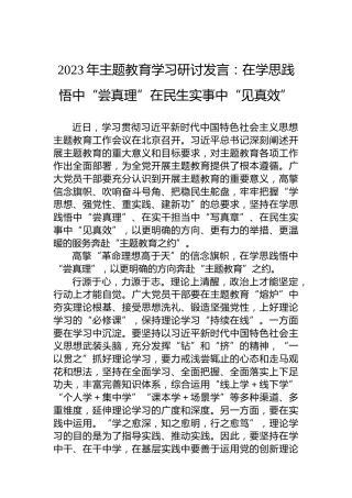 2023年主题教育学习研讨发言：在学思践悟中“尝真理”在民生实事中“见真效”