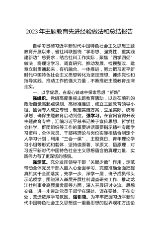 2023年主题教育先进经验做法和总结报告