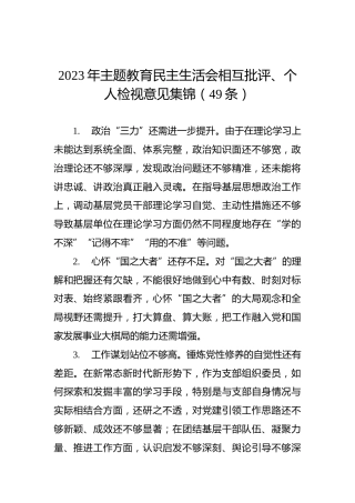 2023年主题教育民主生活会相互批评、个人检视意见集锦（49条）