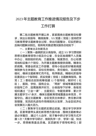 2023年主题教育工作推进情况报告及下步工作打算